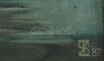 Tapolcai Szabó László (1953?): Tópart. Olaj, vászon, jelzett. Üvegezett fakeretben, 37,5×44,5 cm