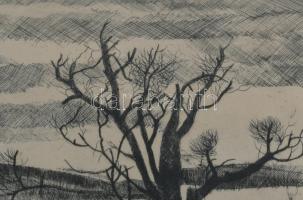 Szalóky Sándor (1921-1978): Téli udvar. Rézkarc, papír, jelzett, számozott (100/85), üvegezett faker...