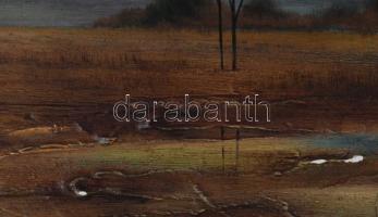 Nánay Szilamér (1952-): Őszi alkony. Olaj, farost, jelzett, hátoldalán a művész autográf ajándékozás...