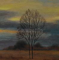 Nánay Szilamér (1952-): Őszi alkony. Olaj, farost, jelzett, hátoldalán a művész autográf ajándékozás...