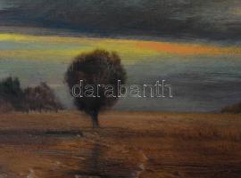 Nánay Szilamér (1952-): Őszi alkony. Olaj, farost, jelzett, hátoldalán a művész autográf ajándékozás...