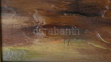 Nánay Szilamér (1952-): Őszi alkony. Olaj, farost, jelzett, hátoldalán a művész autográf ajándékozás...