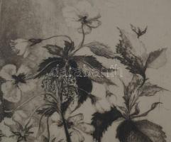 Hertay Mária (1932-2018): Vadcseresznye. Rézkarc, papír, jelzett, számozott (85/100), üvegezett fake...