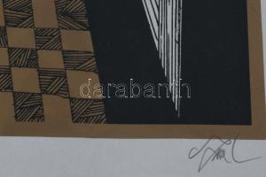 Szász Endre (1926-2003): Hölgy madárral. Szitanyomat, papír, jelzett, számozott (3/25), üvegezett ke...