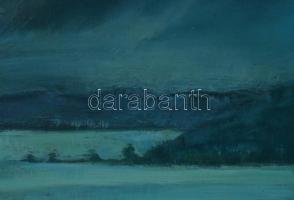 Pálffy Károly (1949-): Vihar után. Olaj, farost. Jelzett a hátoldalán. Fakeretben. d: 30 cm