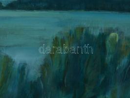 Pálffy Károly (1949-): Vihar után. Olaj, farost. Jelzett a hátoldalán. Fakeretben. d: 30 cm