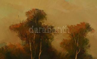 Fegyó Béla (1943-): Tanya. Olaj, farost, jelzett, fakeretben, 30×40 cm