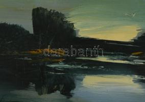 Darabont Tamás (1930-): Esti part. Olaj, farost, jelzett, fakeretben, 30×40 cm