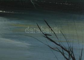 Darabont Tamás (1930-): Esti part. Olaj, farost, jelzett, fakeretben, 30×40 cm