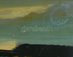 Darabont Tamás (1930-): Esti part. Olaj, farost, jelzett, fakeretben, 30×40 cm