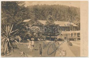 Stájerlak, Steierlak, Stájerlakanina, Steierdorf, Anina; Sala de mancare / Höhenkurort, Speisesaal / Magaslati gyógyhely, étterem / restaurant, spa (ázott sarok / wet corner)