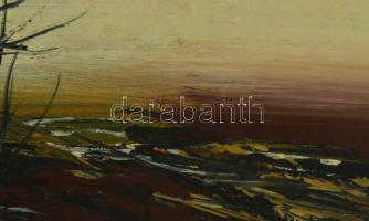Darabont Tamás (1930-): Felhősödik. Olaj, farost, jelzett, fakeretben, 30×40 cm
