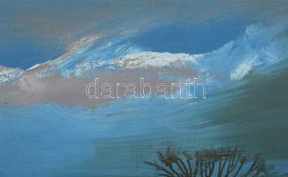 Csikós András (1947-2006): "Hóolvadás". Olaj, farost, jelezve jobbra lent, hátoldalán auto...