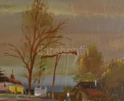 Takács Zoltán (?-): Szentesi tanya. Olaj, farost. Jelzett. Fakeretben. 19x29 cm