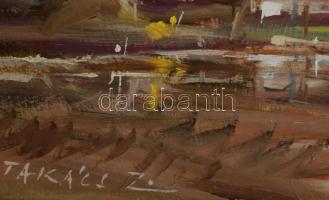 Takács Zoltán (?-): Szentesi tanya. Olaj, farost. Jelzett. Fakeretben. 19x29 cm