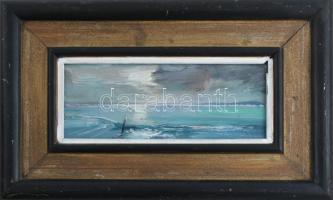 Vágfalvi Ottó (1925-2015): Balaton. Olaj, farost, jelzés nélkül. Hátoldalán feliratozott. Fakeretben...