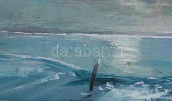 Vágfalvi Ottó (1925-2015): Balaton. Olaj, farost, jelzés nélkül. Hátoldalán feliratozott. Fakeretben...