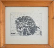 Lenkey Zoltán (1936-1983): Ősz, rézkarc, papír, jelzett, számozott (50/41), üvegezett fakeretben, há...