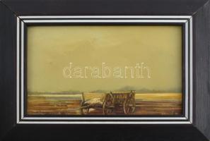 Fegyó Béla (1943-): Tanya. Olaj, farost, jelzett, fakeretben, 13,5×21,5 cm