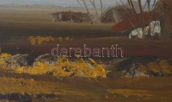 Ugocsai Antal (1942-): Alföldi részlet. Olaj, farost, jelezve jobbra középen, 40×70 cm. Üvegezett fa...