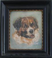 Olvashatatlan jelzéssel: Kutya portré. Olaj, karton. Dekoratív, üvegezett fakeretben, 18×15 cm