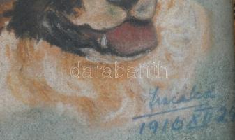 Olvashatatlan jelzéssel: Kutya portré. Olaj, karton. Dekoratív, üvegezett fakeretben, 18×15 cm