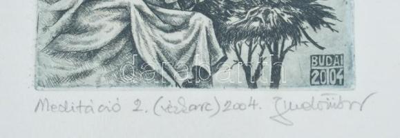 Budai Tibor (1946-): Meditáció 2. Rézkarc, papír, jelzett, üvegezett fakeretben, 19×12,5 cm