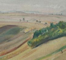 Kapussy György (1903-1986): Dombos táj, 1949. Olaj, vászon. Jelzett. 87,5x125 cm. IZÁRÓLAG SZEMÉLYES...