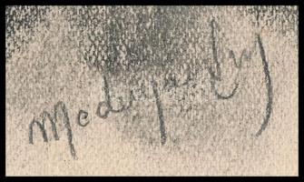 Mednyánszky jelzéssel: Arckép. Szén, papír, kissé foltos. 29,5x20 cm