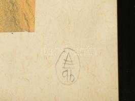 Kőhalmi Ákos (1963-): Burjánzás. Akvarell, ceruza, papír, jelzett a paszpartun. Üvegezett fa keretbe...