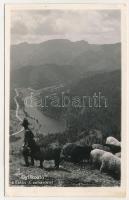 1941 Gyilkos-tó, Lacul Rosu (Gyergyószentmiklósi-havasok, Muntii Giurgeului); kilátás a Cohárd-hegyről / view from Cohard mountain. Ambrus photo (EK)