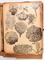 Régi újságkivágások, fekete-fehér és színes illusztrációk, albumba beragasztva, helyenként sérült lapokkal