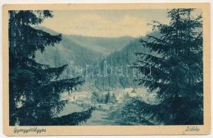 Gyergyótölgyes, Tölgyes, Tulghes; látkép. Ifj. Szuhay István kiadása / general view (EM)