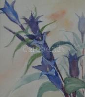 Elisabeth Kesselbauer-Laske (1884-1975): Virágszálak. Akvarell, papír, jelzett, 10x7,5 cm