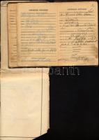 1947 Brazil munkakönyv magyar személy részére, hozzá magyar hivatalos fordítás