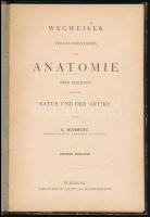 Schmidt, C.: Wegweiser für das Verständnis der Anatomie beim Zeichnen nach der Natur und der Antike. Tübingen, Verlag der H. Laupp'schen Bucchandlung. Félvászon kötés, kopottas állapotban.