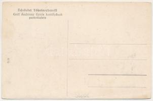 Tőketerebes, Trebisov; Gróf Andrássy Gyula kastélyának parkja / castle park (ragasztónyom / glue mar...