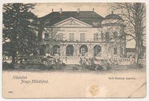 Nagymihály, Michalovce; Gróf Sztáray kastély / castle (b)