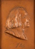 Liszt Ferenc plakett, kis sérüléssel, keretben, 23x18 cm