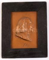 Liszt Ferenc plakett, kis sérüléssel, keretben, 23x18 cm