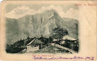 1901 Poiana Tapului, Vedere. Ad. Maier &amp; D. Stern / view (EM)