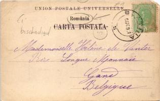 1901 Poiana Tapului, Vedere. Ad. Maier &amp; D. Stern / view (EM)