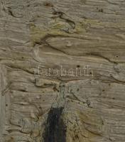 Paál Albert (1895-1968): Erdőszéli tanya, 1922. Olaj, vászon, jelezve jobbra lent. Hátoldalán Paál A...