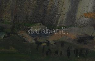 Paál Albert (1895-1968): Erdőszéli tanya, 1922. Olaj, vászon, jelezve jobbra lent. Hátoldalán Paál A...