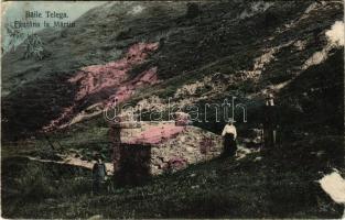 Telega Baile, Fantana la Martin. N. Wolff / fountain, spring source (surface damage)