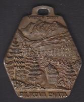 Szlovákia modern bronz Tátra-plakett - Studenovoske Vodopády - Bilikova Chata