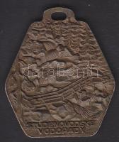 Szlovákia modern bronz Tátra-plakett - Studenovoske Vodopády - Bilikova Chata