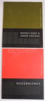 Modernizmus 1-2. köt.
1. köt.: Modernizmus 1900-1935. Bp., 2006.,Erdész &amp; Makláry Fine Arts...