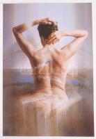 Sándorfi István. Szerk.: Makláry Kálmán. Bp., 2006, Erdész &amp; Makláry Fine Arts, 51+(1) p. Ga...