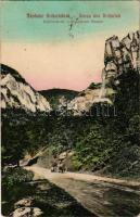 1912 Anina, Stájerlakanina, Stájerlak, Steierdorf; Bozovicsi út. Hollschütz kiadása és felvétele / Bozovicser Strasse / Bozovici road + "Berekszónémeti postai ügyn." (EK)